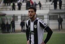 مهدي القشوري