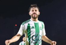نور الدين القليب